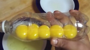 egg-yolks